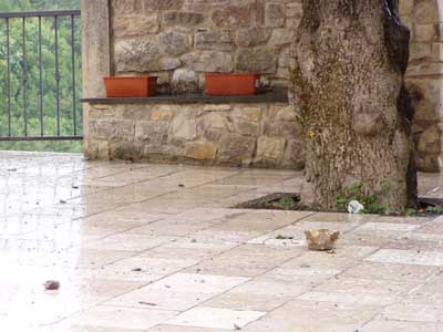 foto di Pippo Cupoli