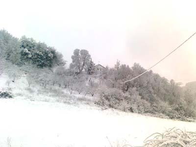 FOTO di FABIO ROMANO