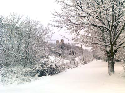 FOTO di FABIO ROMANO