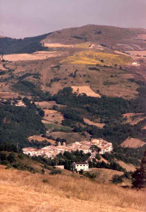 foto di Alfredo Crisafulli
