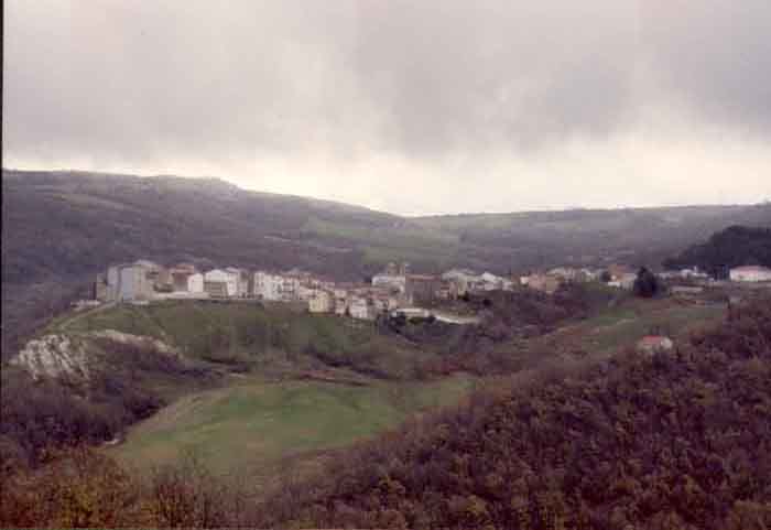 foto di Cupoli Pippo